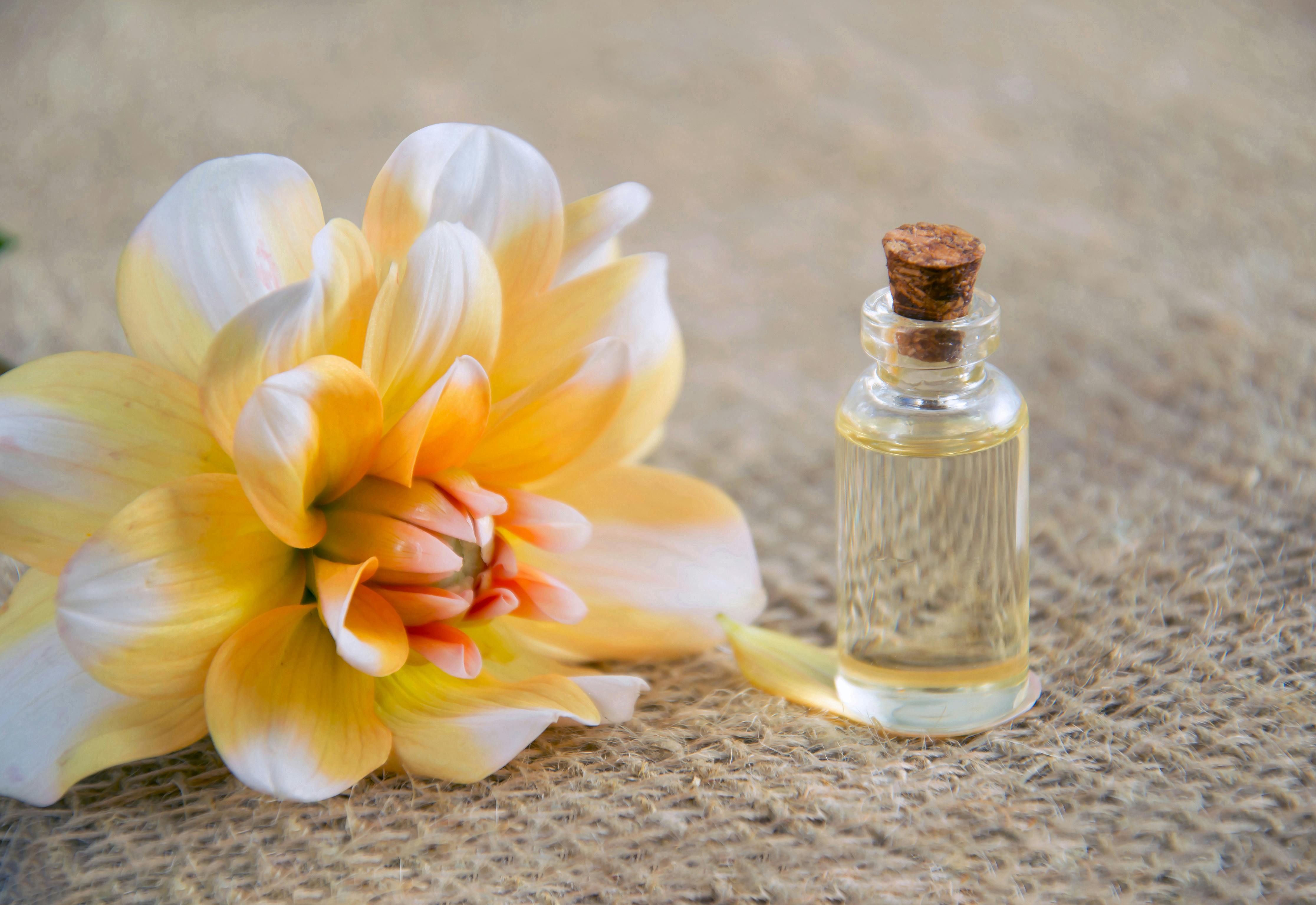 Geranium Oil